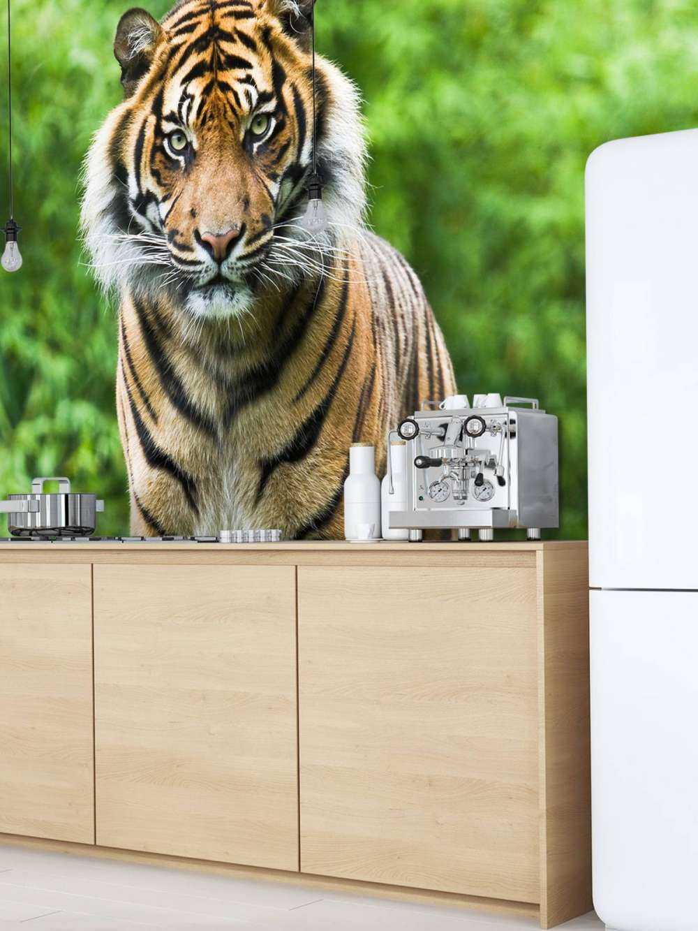 Tiger standing on a stone