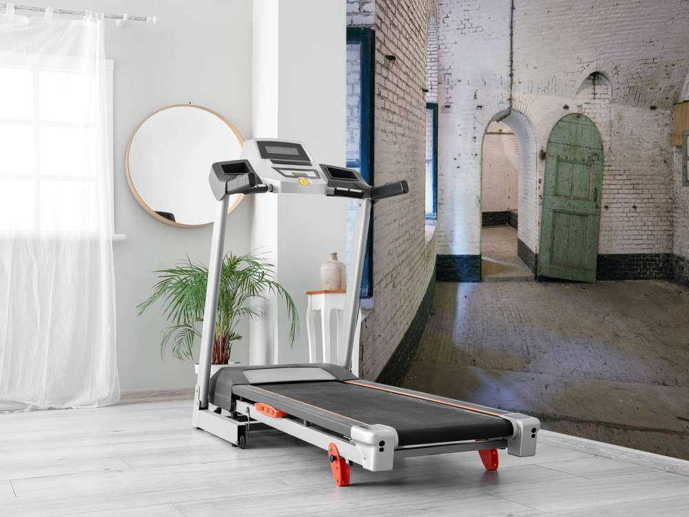 Green door in old building