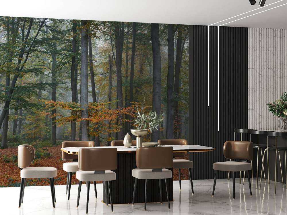 Autumn colours in misty forest