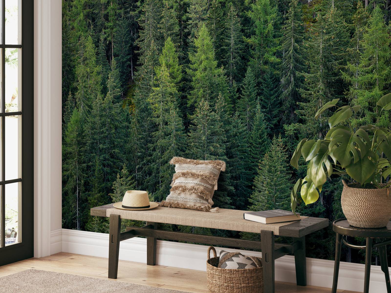 Green spruce forest