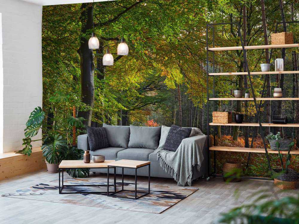 Path with leaves through the forest