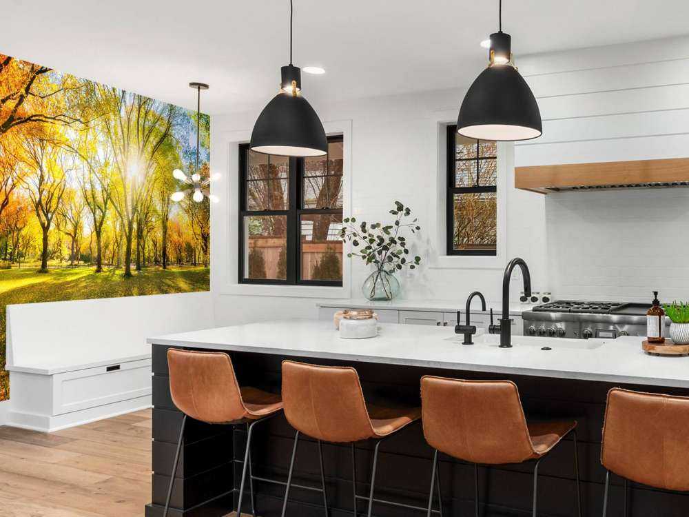 Colourful autumn forest