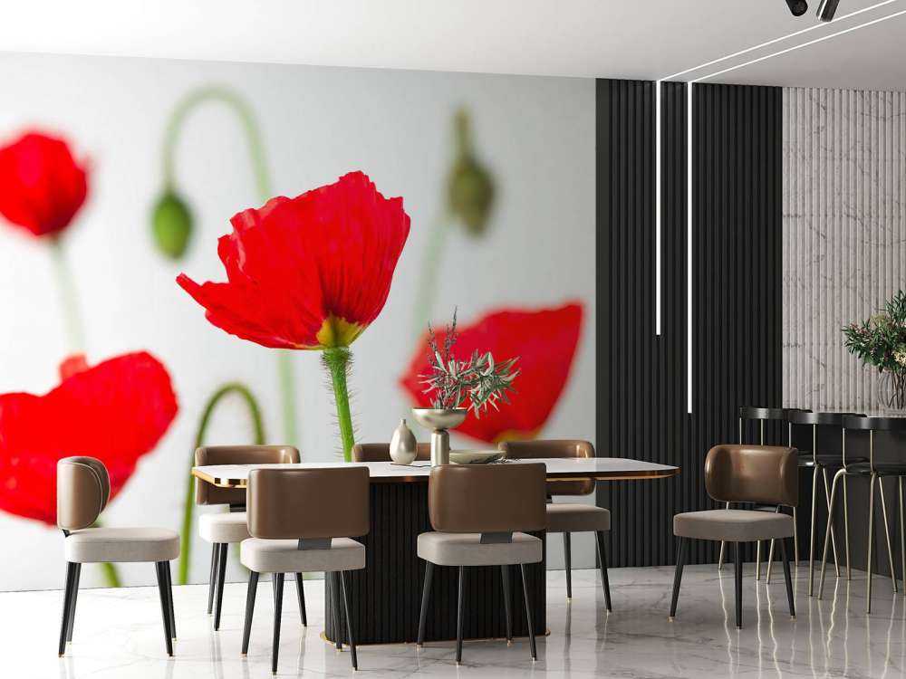 Close-up red poppies