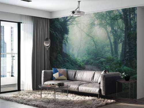 Green foggy forest