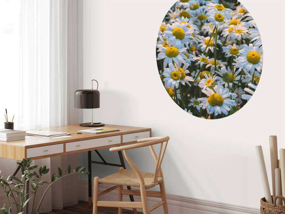 Vintage Daisies