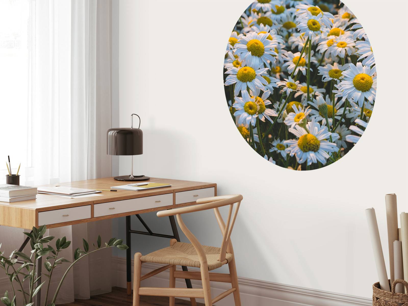 Vintage Daisies