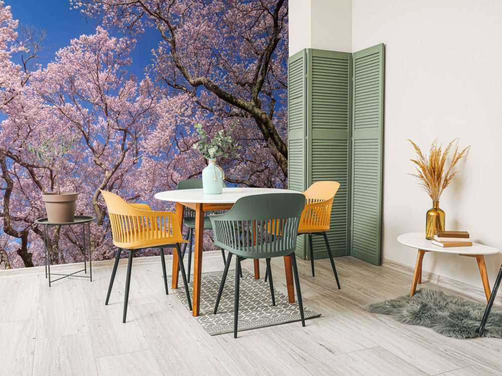 Blossoms with blue sky