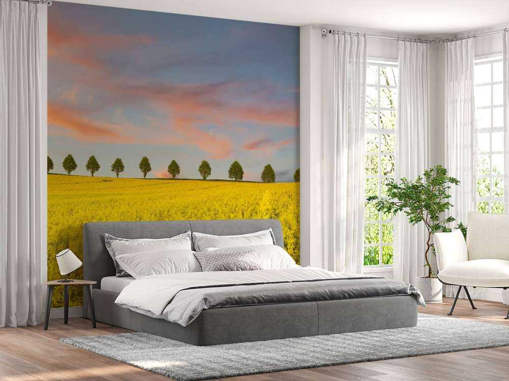 Field full of yellow flowers