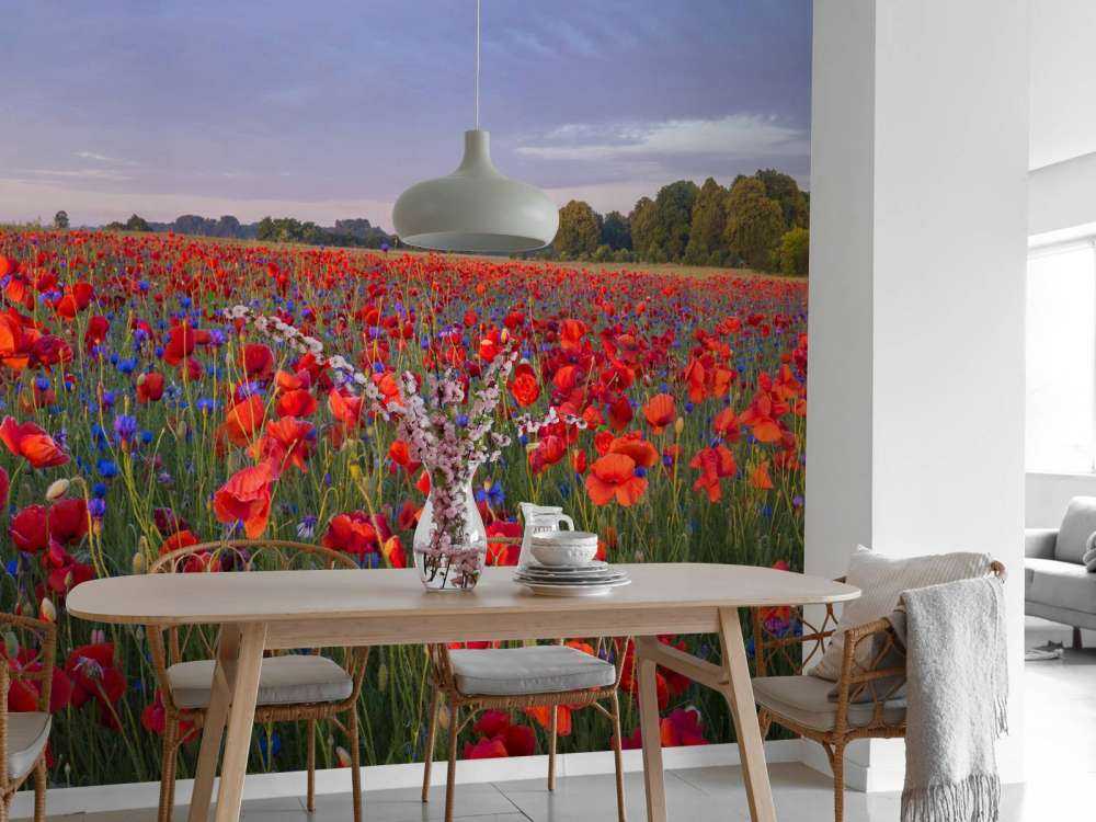 Blue flowers and red Poppies