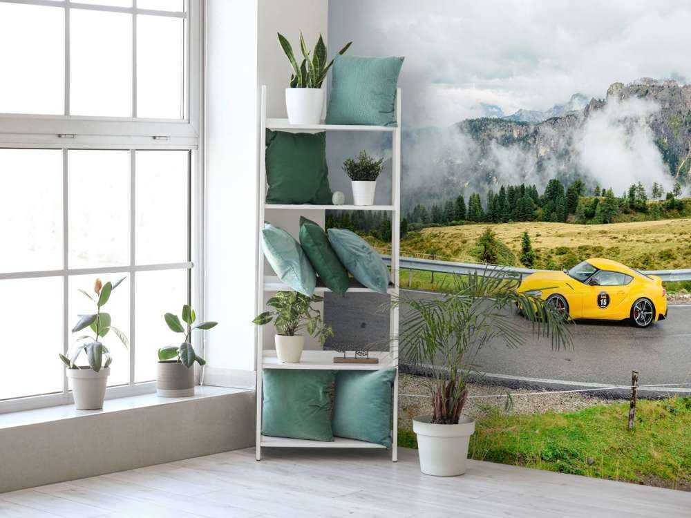 Sports cars in the Dolomites