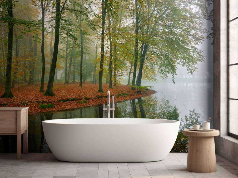 Reflection of trees in pond