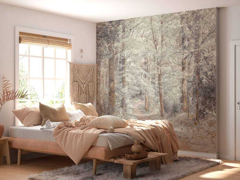 A path through a green forest