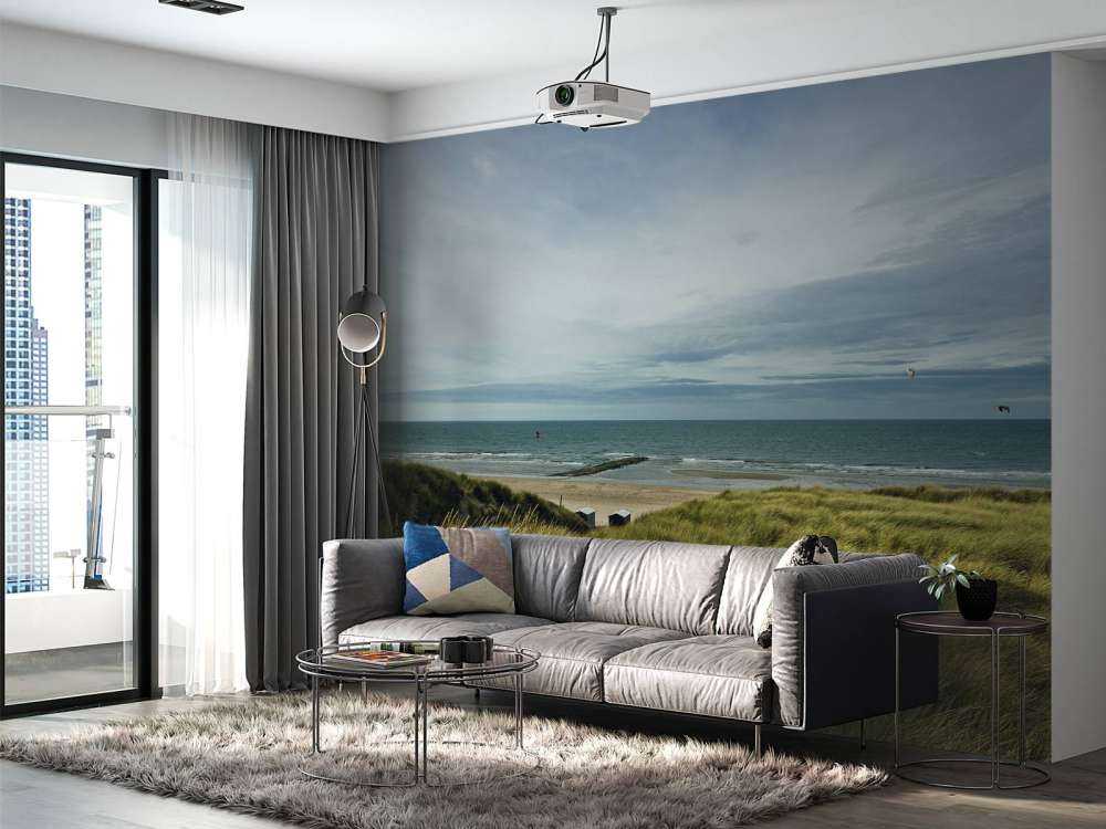 Beach from the dunes