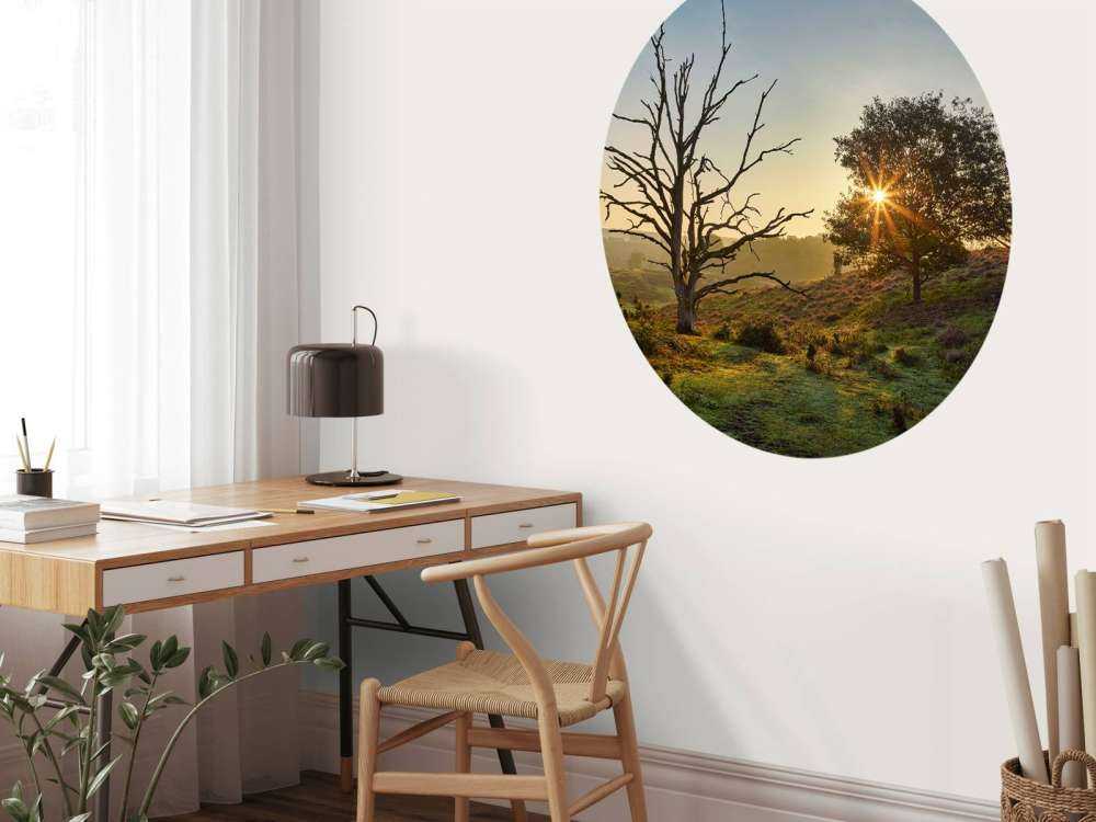 Rising sun on the heath