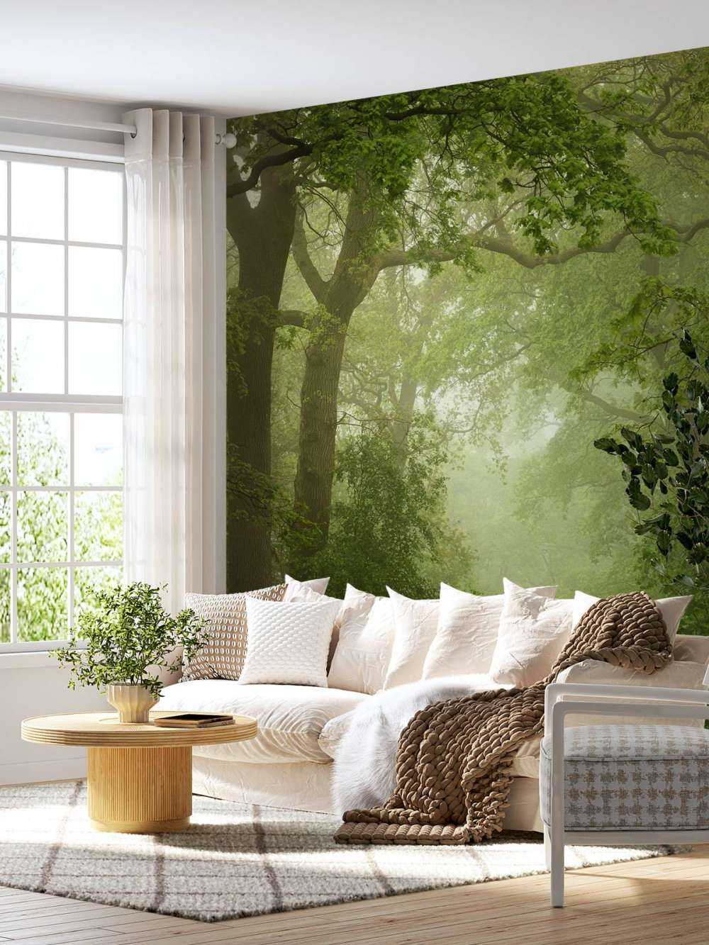 Forest path in the mist