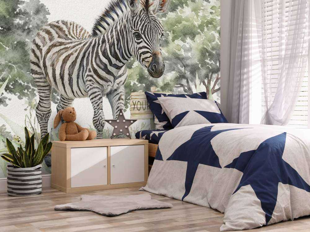 Young zebra in the wild