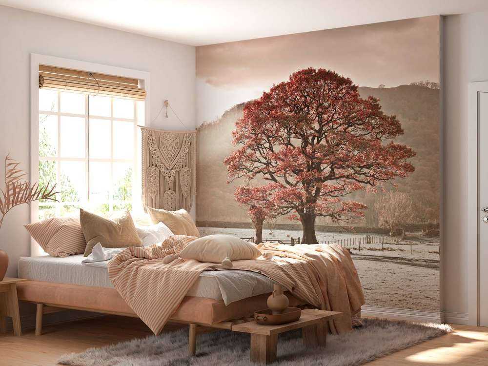 Oak tree in winter