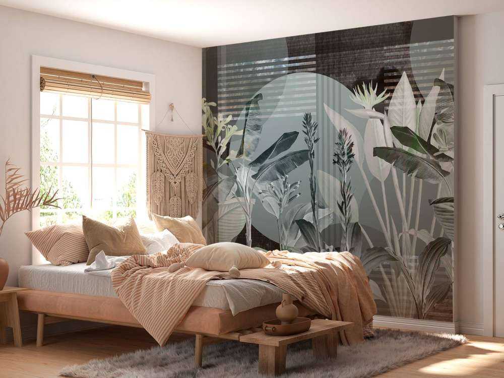 Dreams and Tropics 3