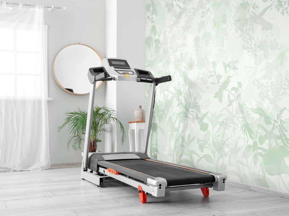 Garden Symphony in Green