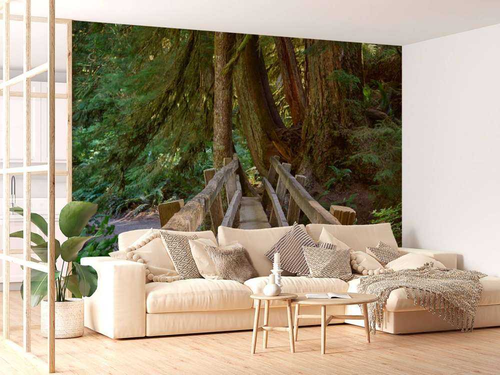 Wooden bridge through the forest 