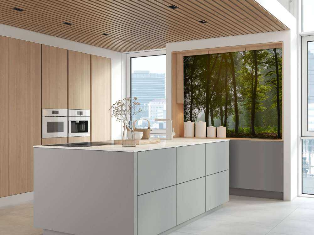 Forest in the morning sun