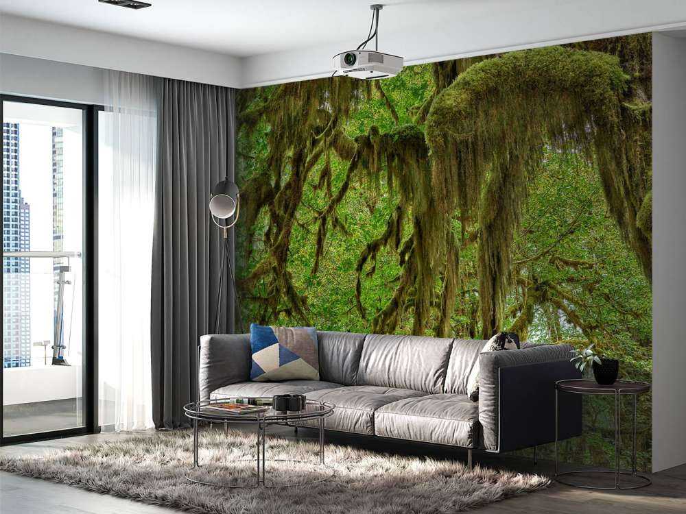 Moss on tree branches