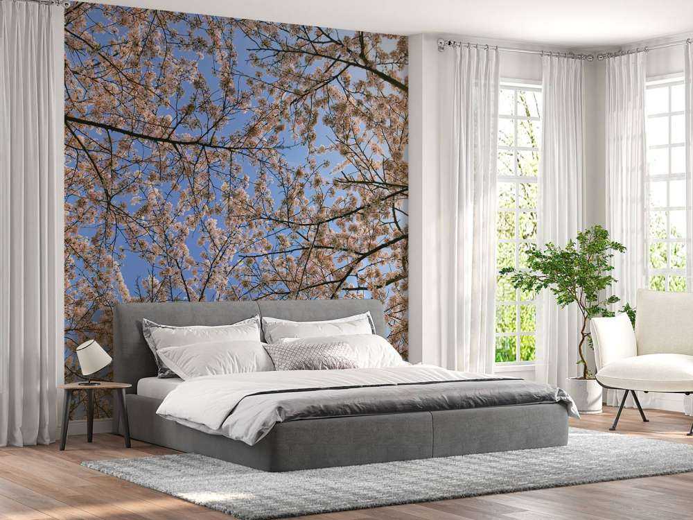 Flowering branches in bloom