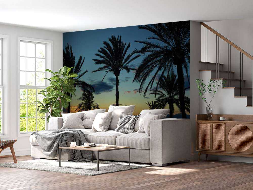 Palm trees at sunset