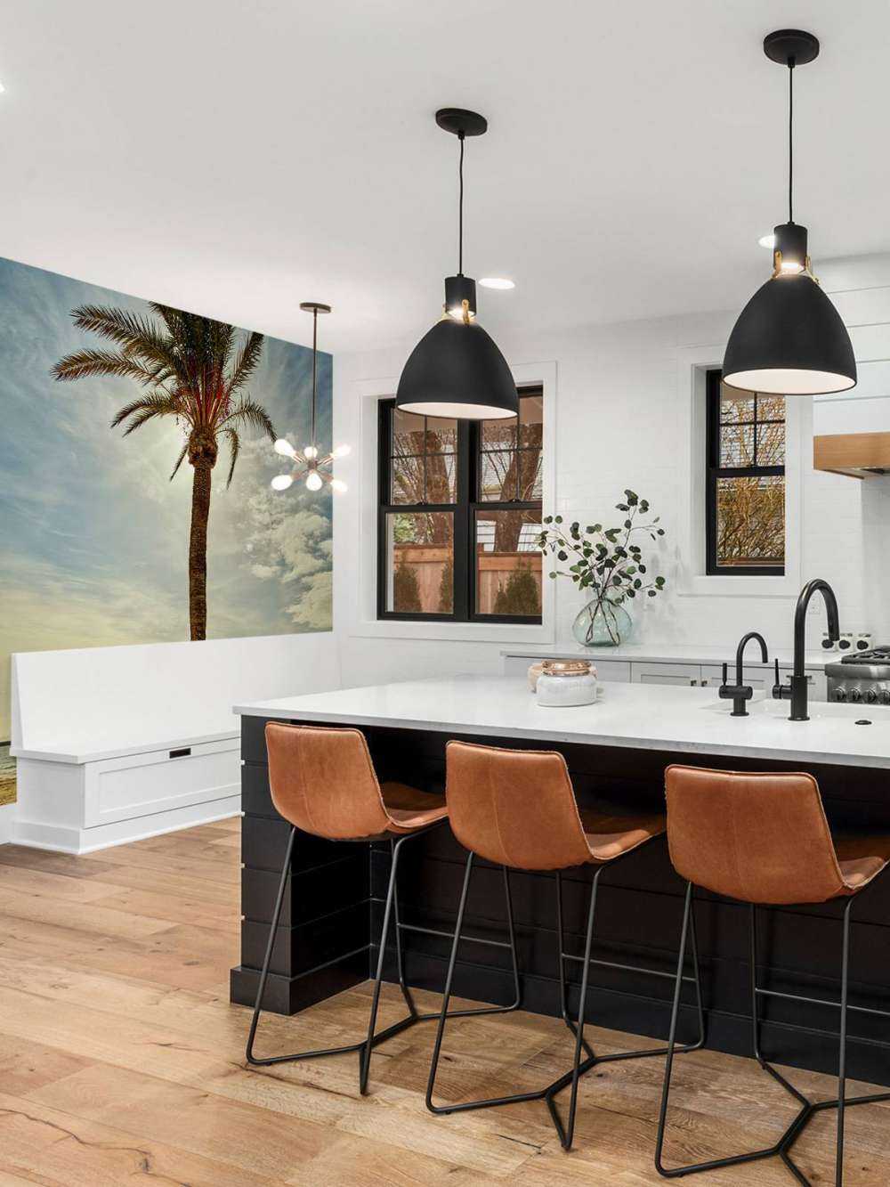 Palm tree in the sun