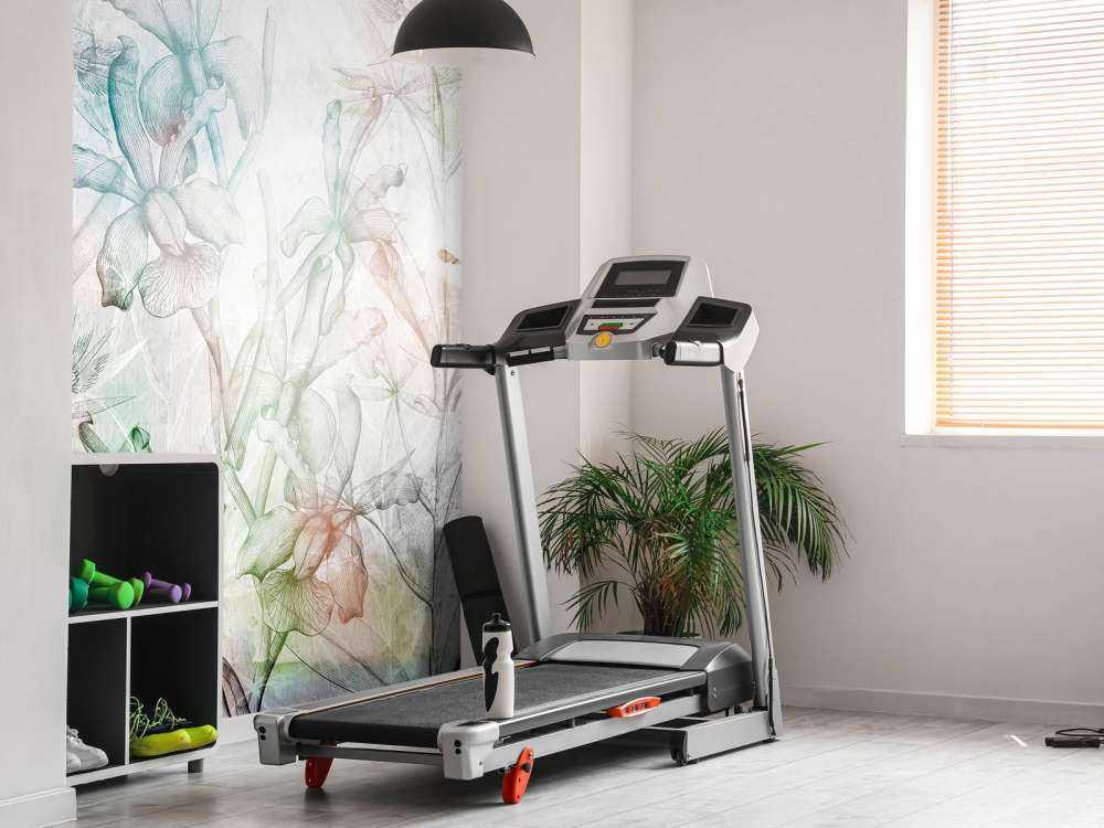 Concrete Orchid Dream