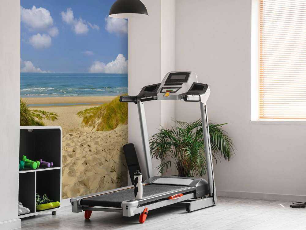 Beach access through the dunes