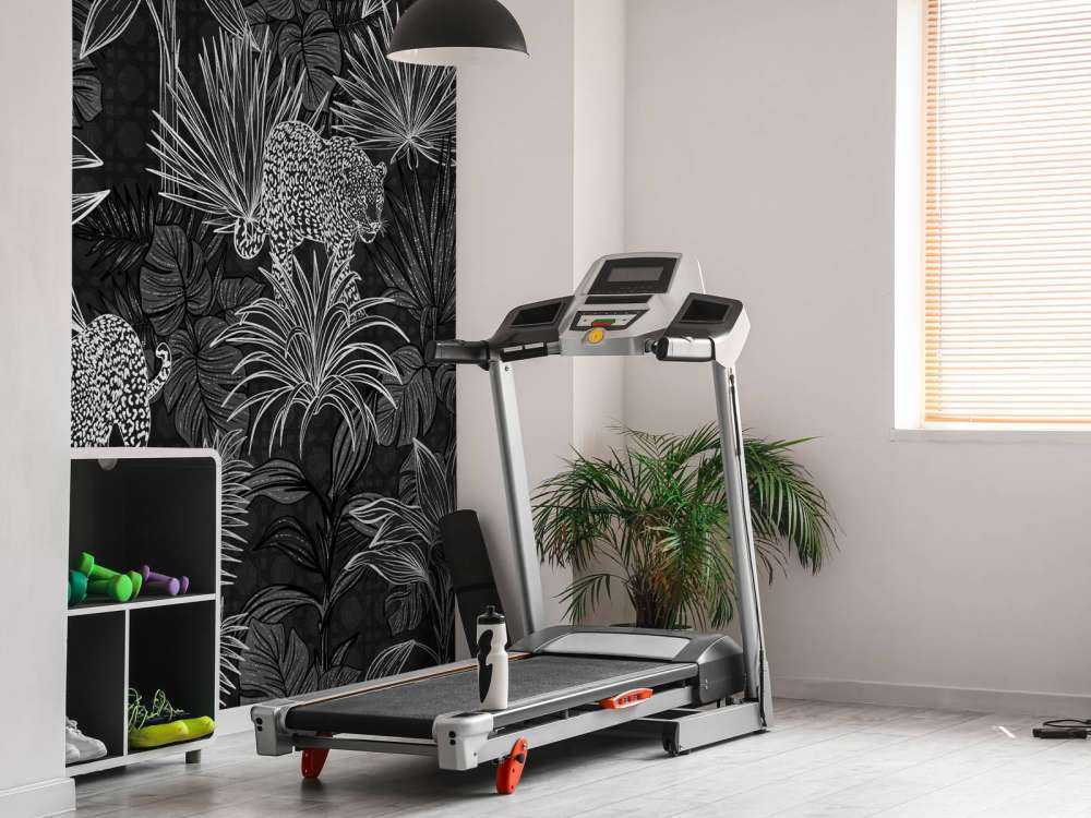 Palm trees and panthers