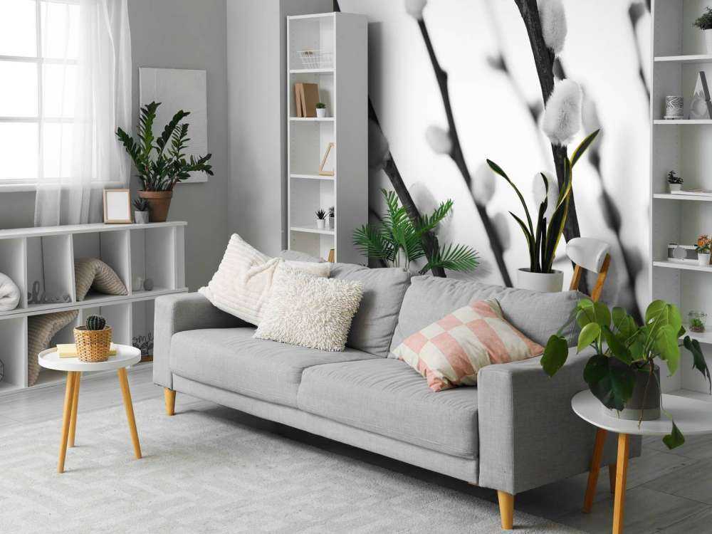 Black and white willow