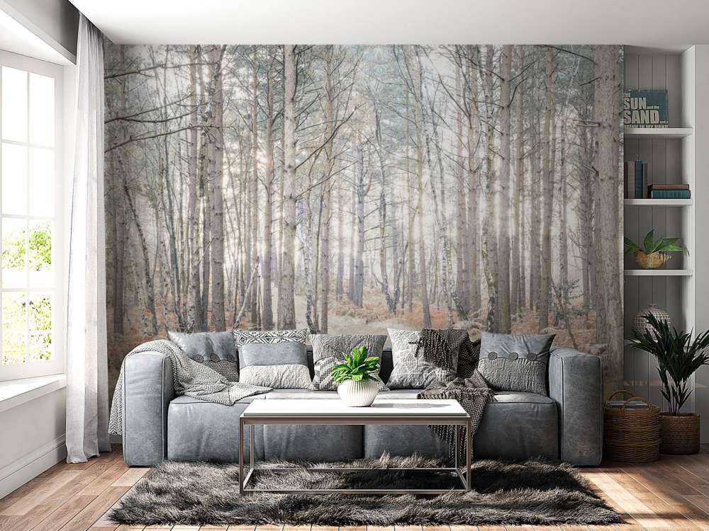 Sand path through forest