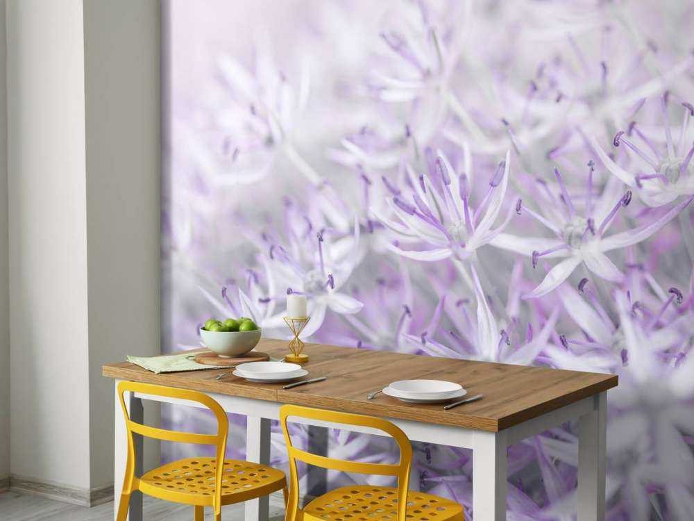 Allium flowers close-up