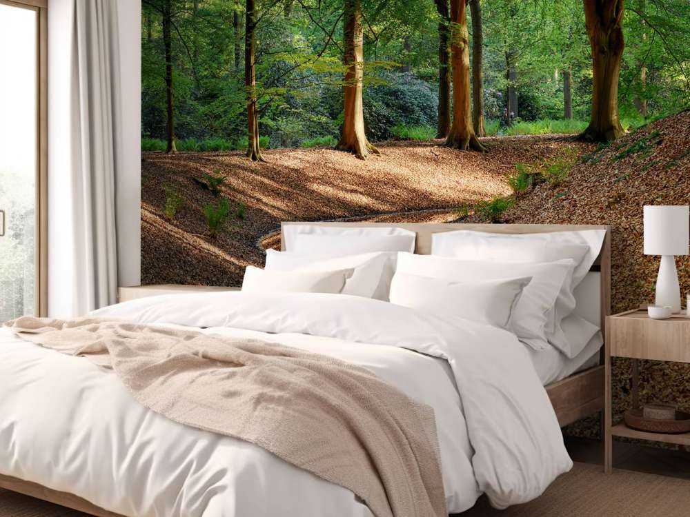 Brooklet in the forest 