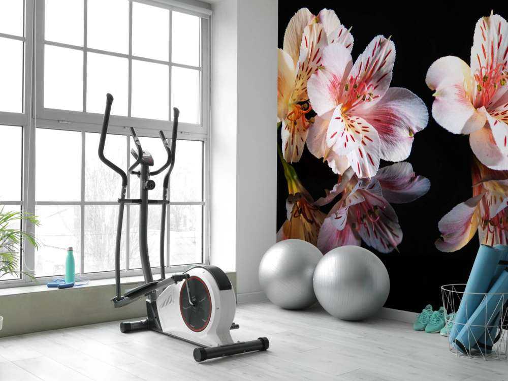 Alstroemeria flowers with reflection