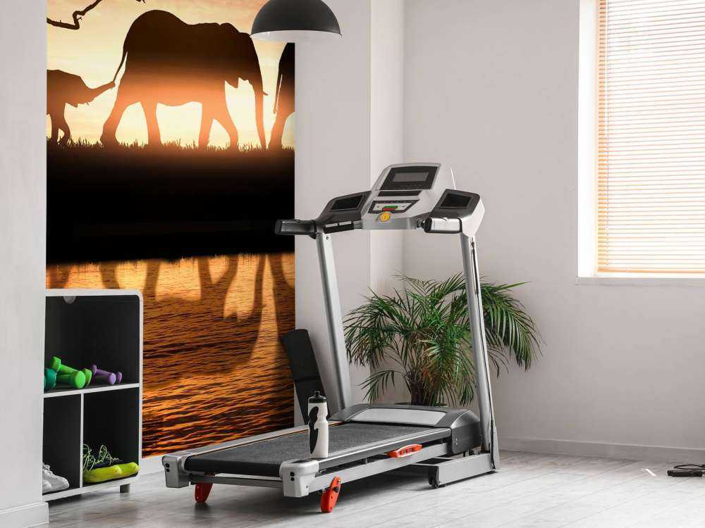 Elephants in savannah