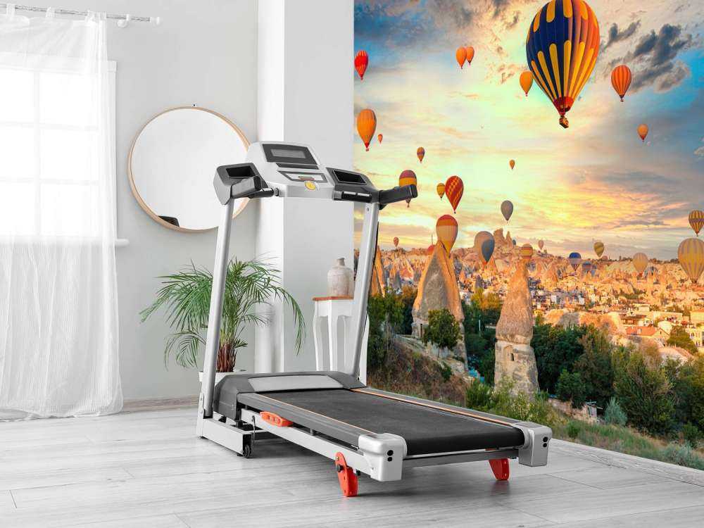 Beautiful hot air balloons