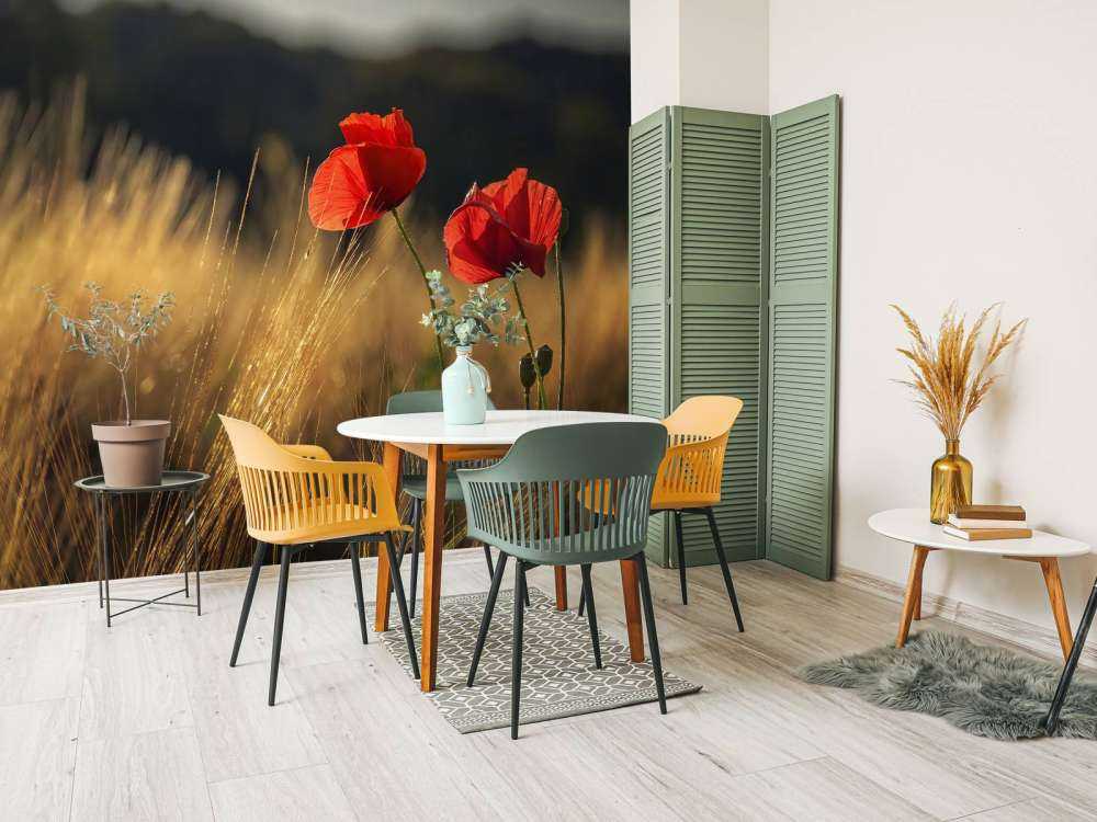 Poppies in a wheat field