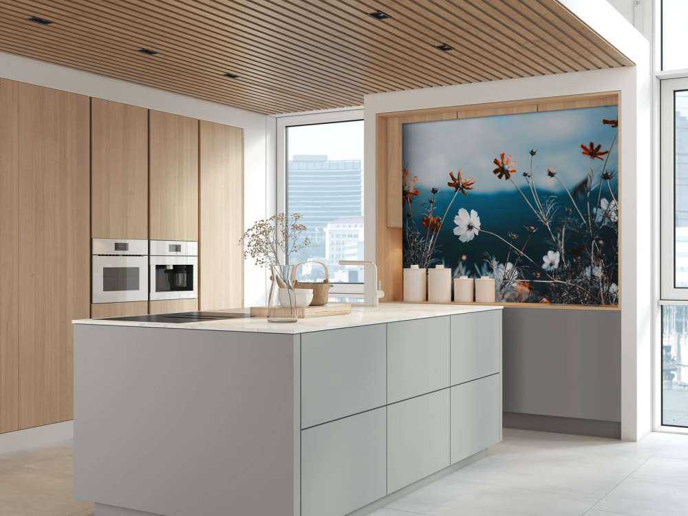 Cosmos flowers in the field