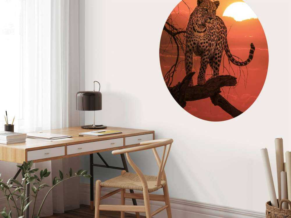 Leopard with setting sun