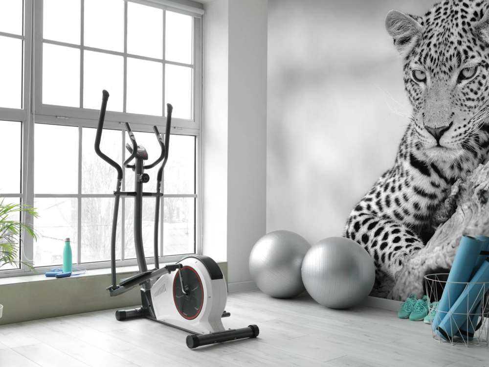 Leopard black, white