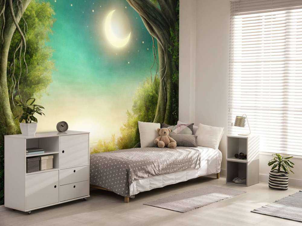 The enchanted forest