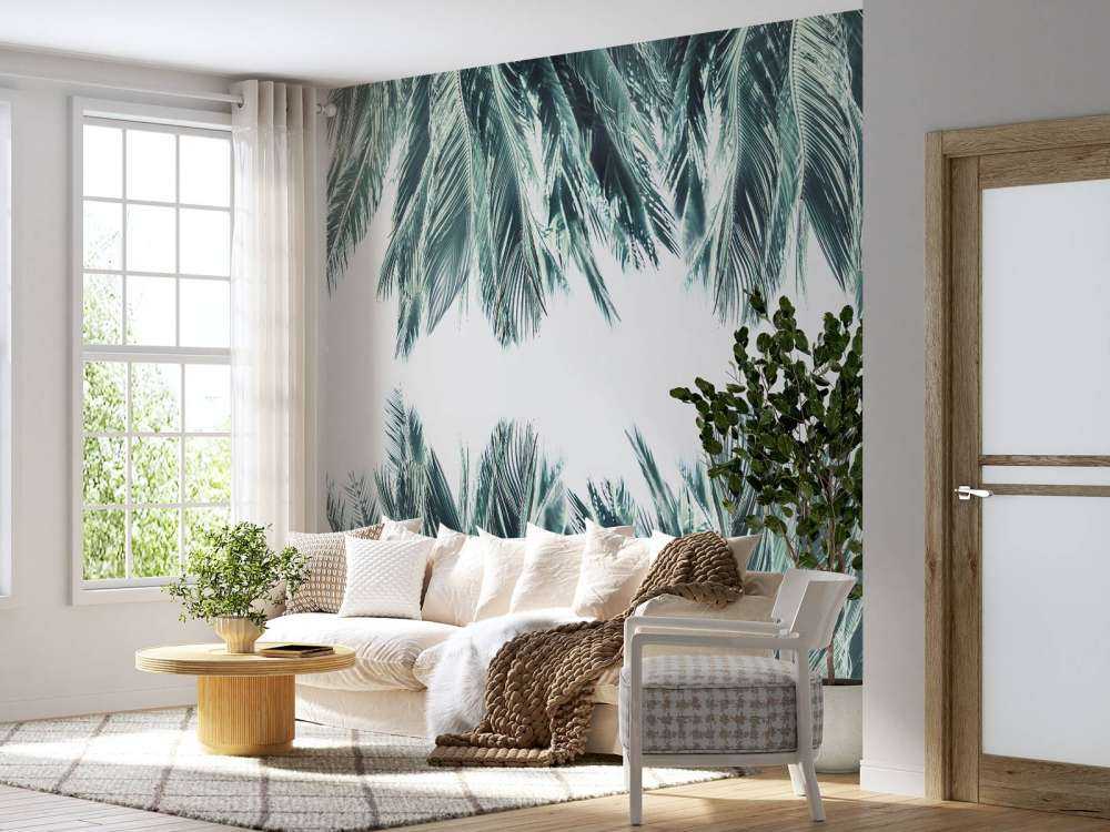 Palm leaves on white background