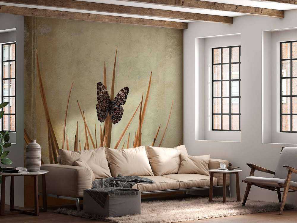 Butterfly near old wall