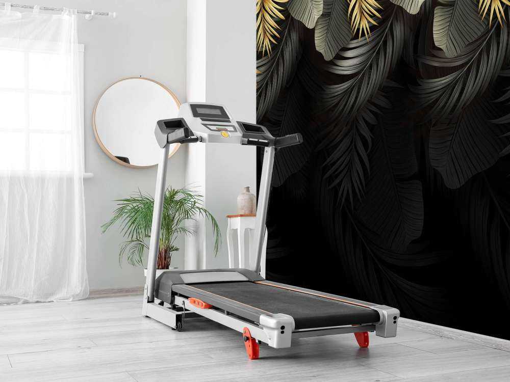 Leaves on dark background