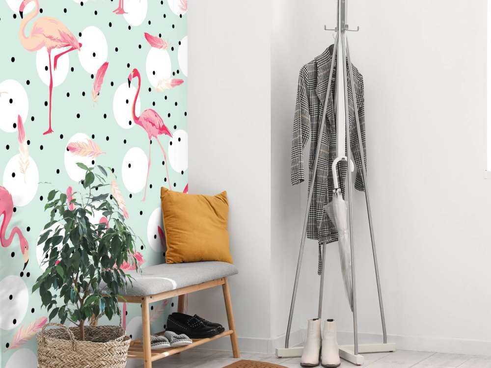 Flamingos and feathers