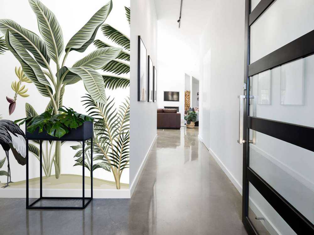 Cranes in the jungle