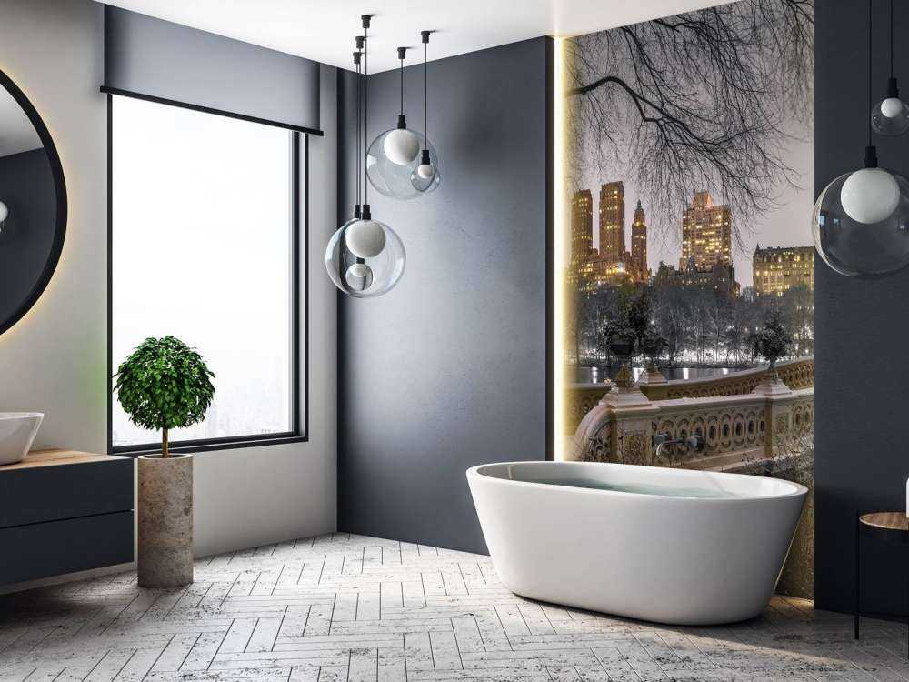 Central park and Manhattan